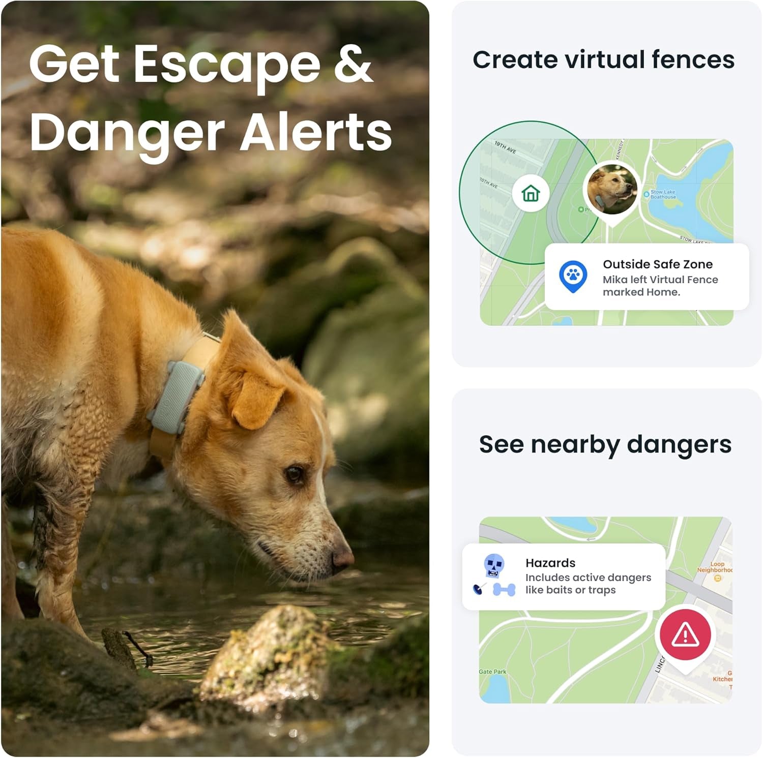 GPS Dog Tracker | 2025 Edition | Market Leader | Real-Time Location Tracking | Escape Alerts | Activity Monitoring | Health Alerts | Bark Monitoring (Mint)
