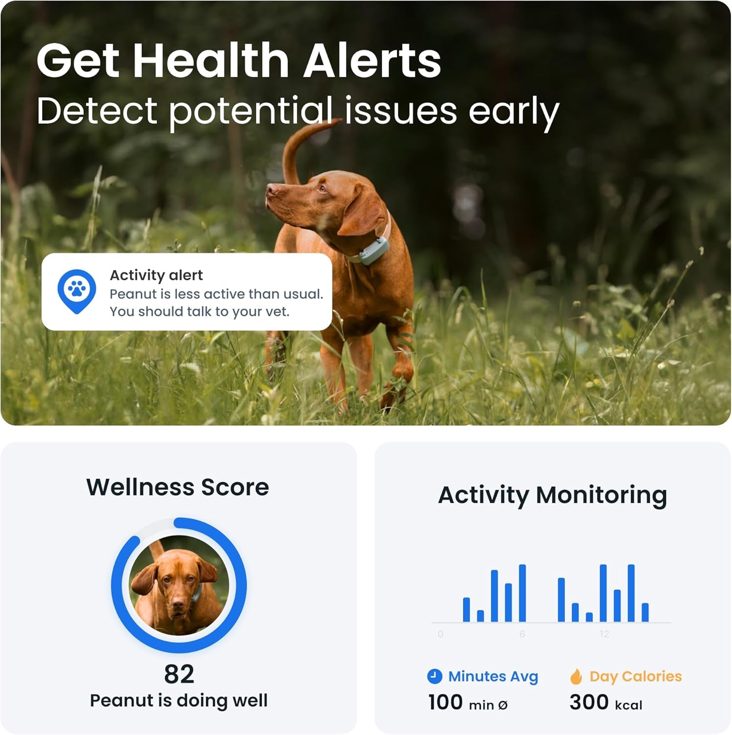 GPS Dog Tracker | 2025 Edition | Market Leader | Real-Time Location Tracking | Escape Alerts | Activity Monitoring | Health Alerts | Bark Monitoring (Mint)