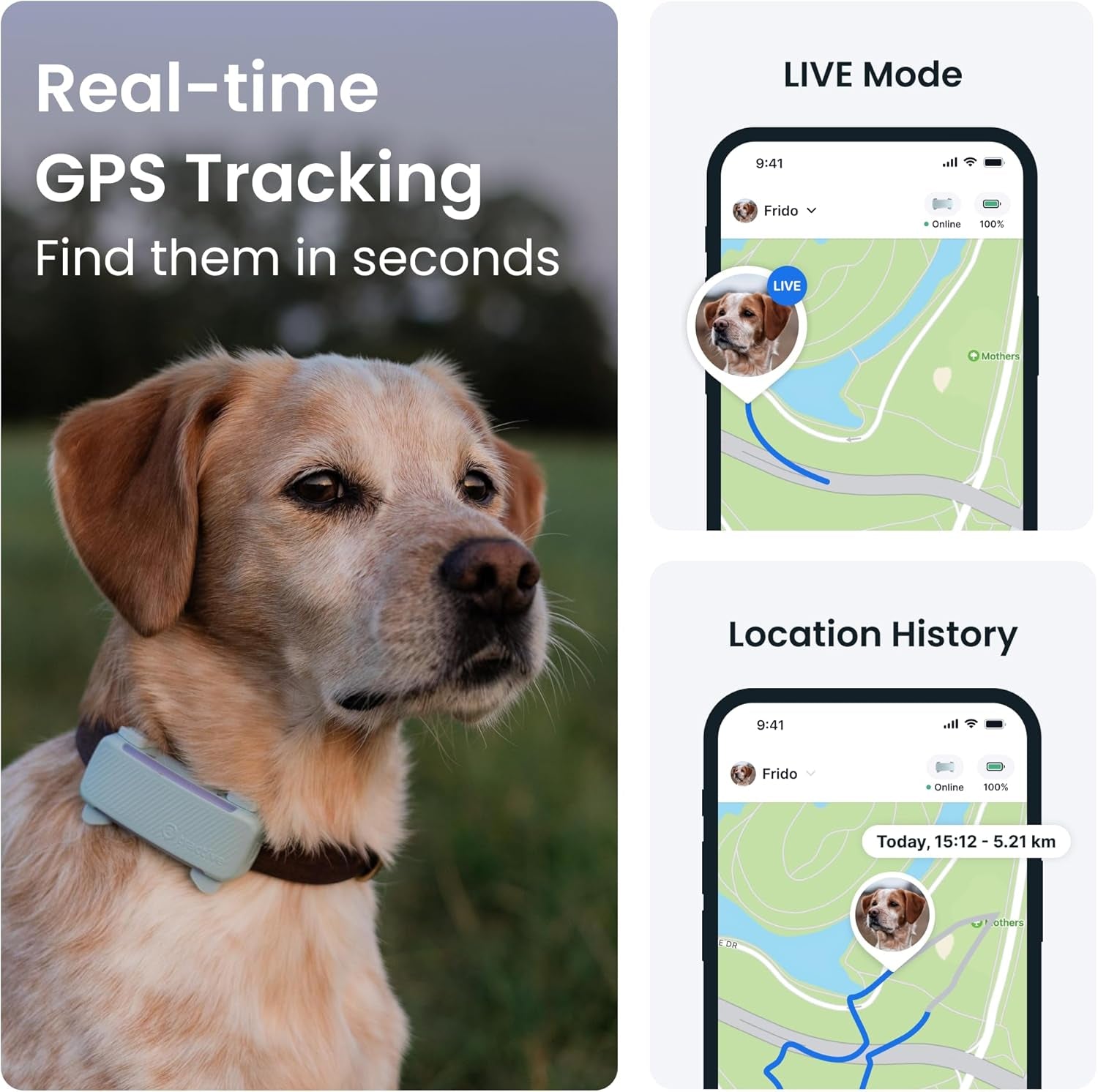 GPS Dog Tracker | 2025 Edition | Market Leader | Real-Time Location Tracking | Escape Alerts | Activity Monitoring | Health Alerts | Bark Monitoring (Mint)